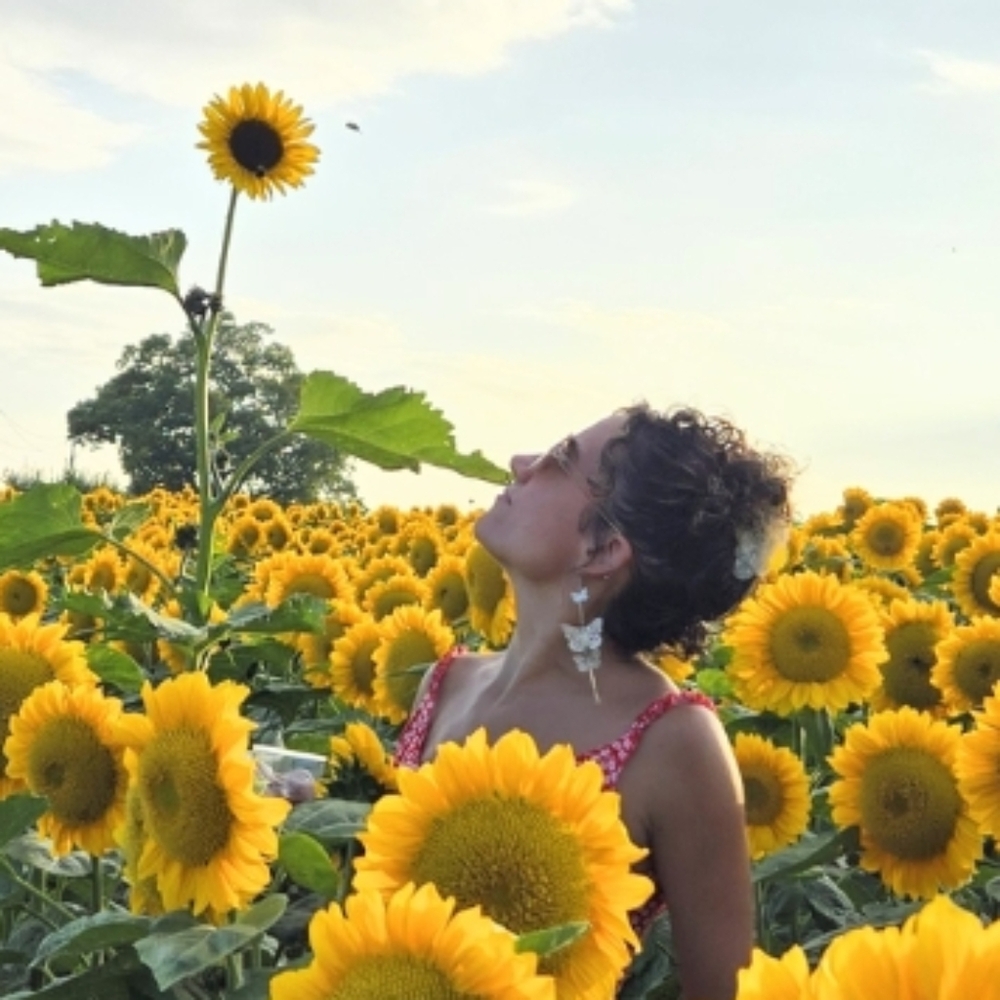 Everything below is SOLD